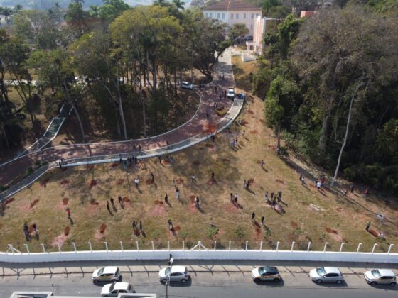 Universidade Federal de Lavras Celebra 116 Anos com Plantio de Ipês e Apoio da Fundecc em Projeto ‘Plantando o Futuro