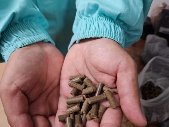 Pesquisa da UFLA transforma resíduos em energia limpa  