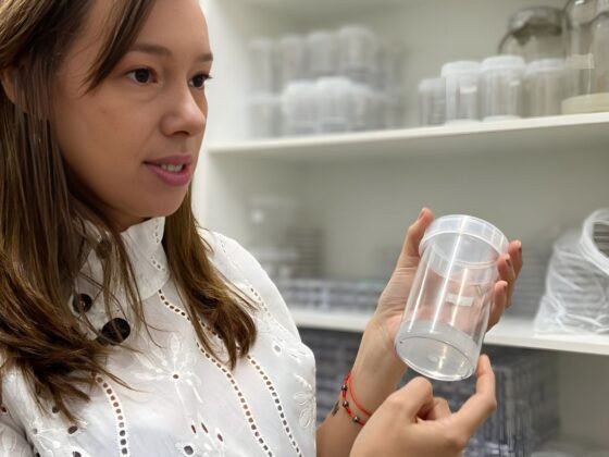 Ciência, persistência e impacto social: pesquisa pioneira da UFLA avança na cannabis medicinal