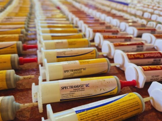 Do campo à mesa: pesquisa investiga uso de antibióticos em propriedades produtoras de leite em Minas Gerais