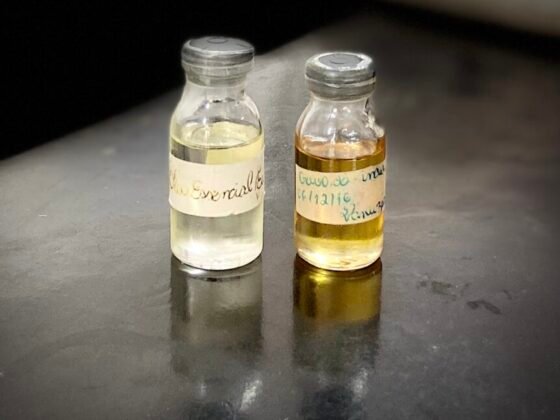 Muito além do aroma: pesquisas da UFLA revelam potencial dos óleos essenciais no controle de fungos, insetos e na conservação de alimentos