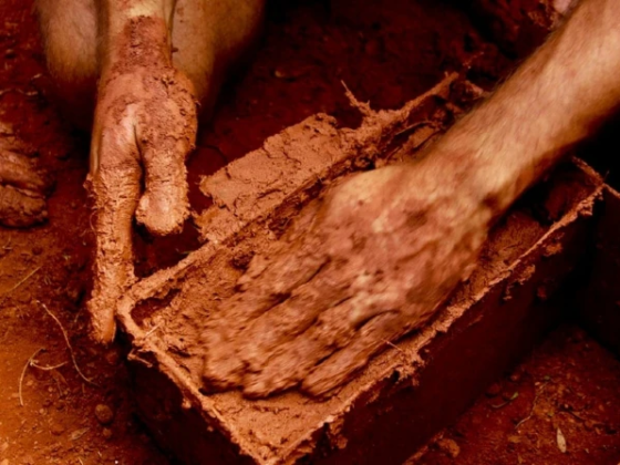 X Congresso de Arquitetura e Construção com Terra no Brasil Acontece na UFLA: Passado e Futuro com Sustentabilidade