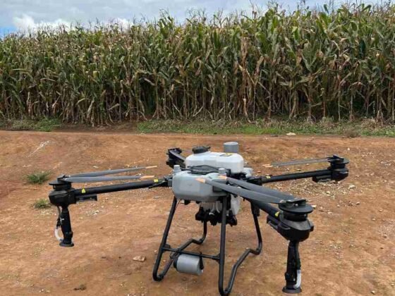 Drone leva agricultura de precisão aos experimentos na Fazenda Muquém e inaugura o plantio pelo ar na UFLA
