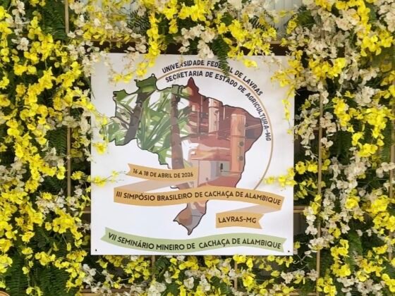 Quando a ciência encontra o alambique: simpósio na UFLA mostra como Minas está mudando o futuro da cachaça